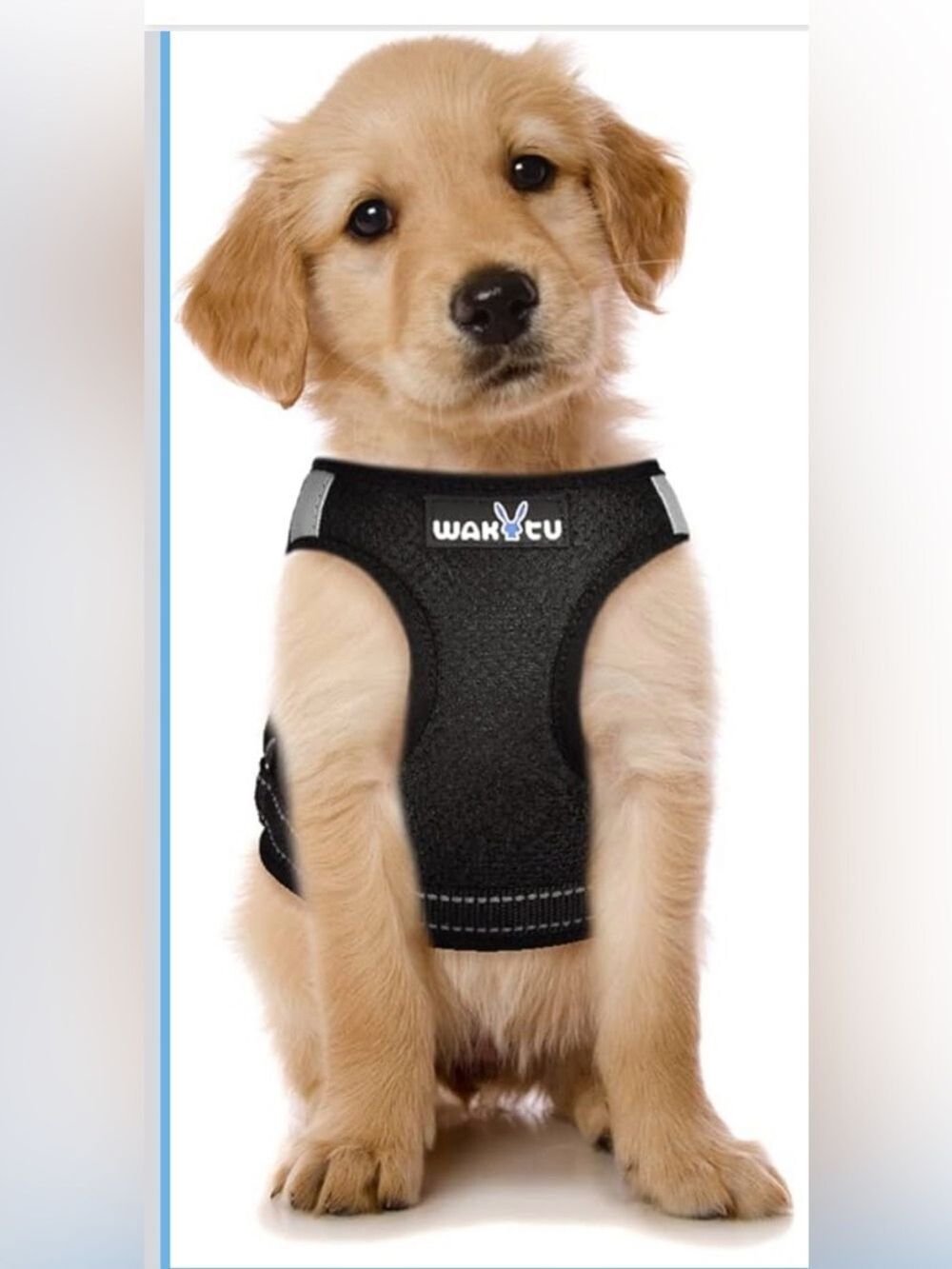 Black Reflective Kids Safety Head Harness